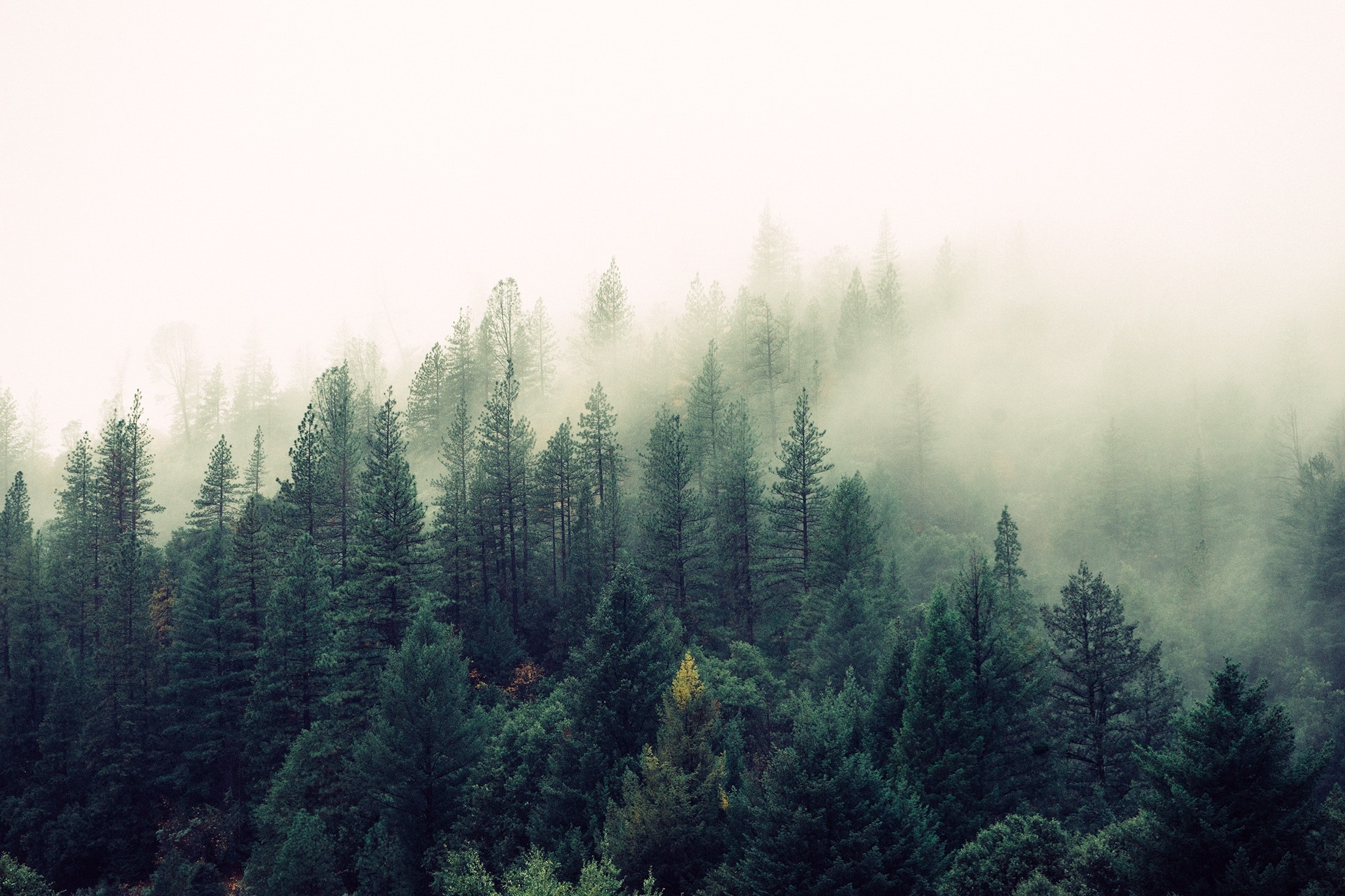 After Historic Fall, Carbon Emissions Are Now Coming Back Fast