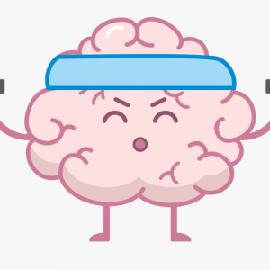 training-your-brain-for-success