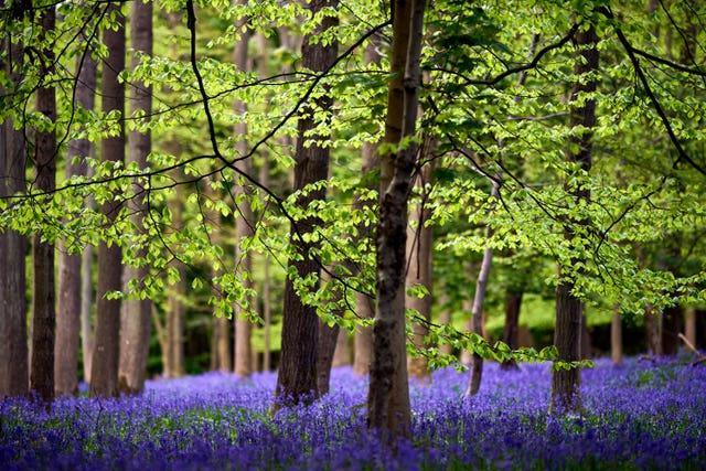 UK Set For Washout May As Unsettled Weather Persists