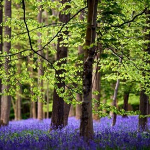 UK Set For Washout May As Unsettled Weather Persists