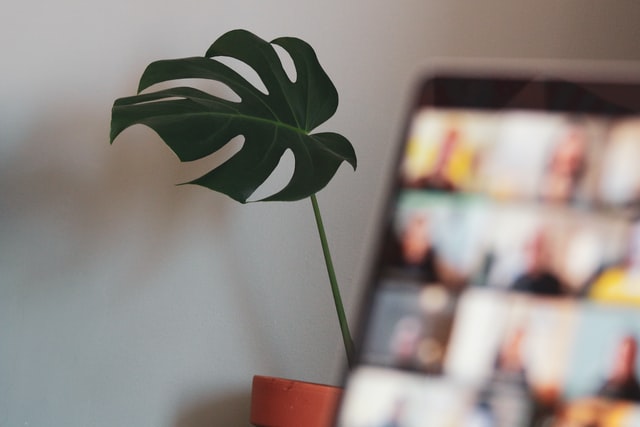 15 Ways You Can Make Money Online Right Now