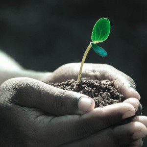 30-Year Harvard Study Reveals The 5 Simple Habits That May Prolong Your Life By 10 Years