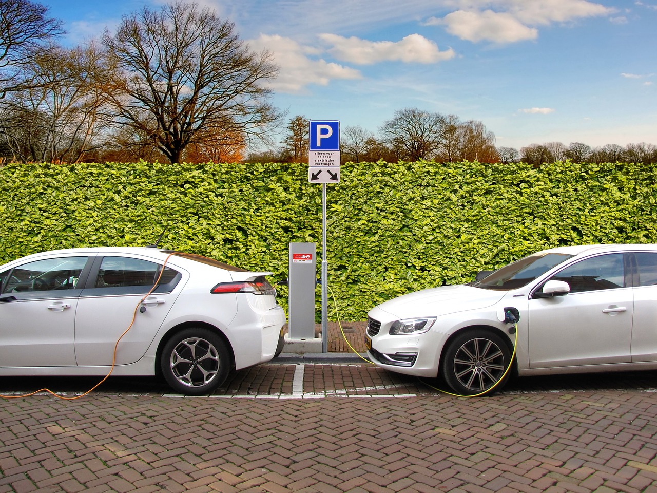 Warren Buffett- Backed  BYD Electric Cars Soared Sales by 300%
