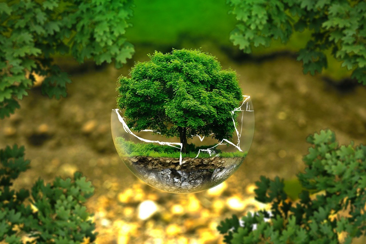 The Environment Is Gen Z’s No. 1 Concern – And Some Companies Are Taking Advantage Of That