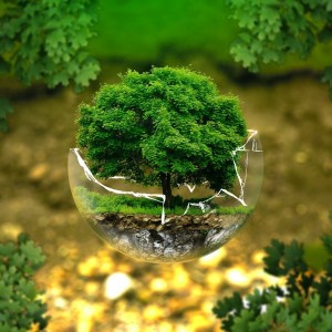 The Environment Is Gen Z’s No. 1 Concern – And Some Companies Are Taking Advantage Of That