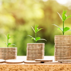 Moonlighting As A Venture Capitalist Has Made Me A More Successful CEO