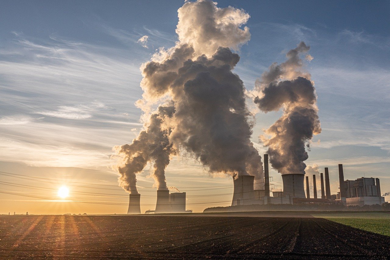 Why Billionaires Like Bill Gates And Jeff Bezos Buy Carbon Offsets — And How They Work