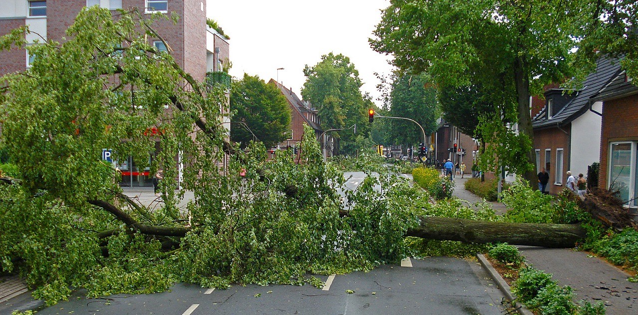 US Tornadoes: Tornadoes Devastate Kentucky, Biden Reaches Out To Affected US States