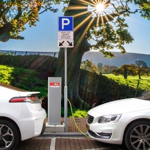 Electric Vehicle Stocks Soared On Hype In 2021 But Investors' Bigger Bet Is On 2022 