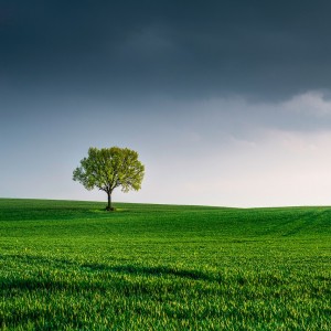 Major UK Investor Vows To Pressure CEOs On Environmental Goals