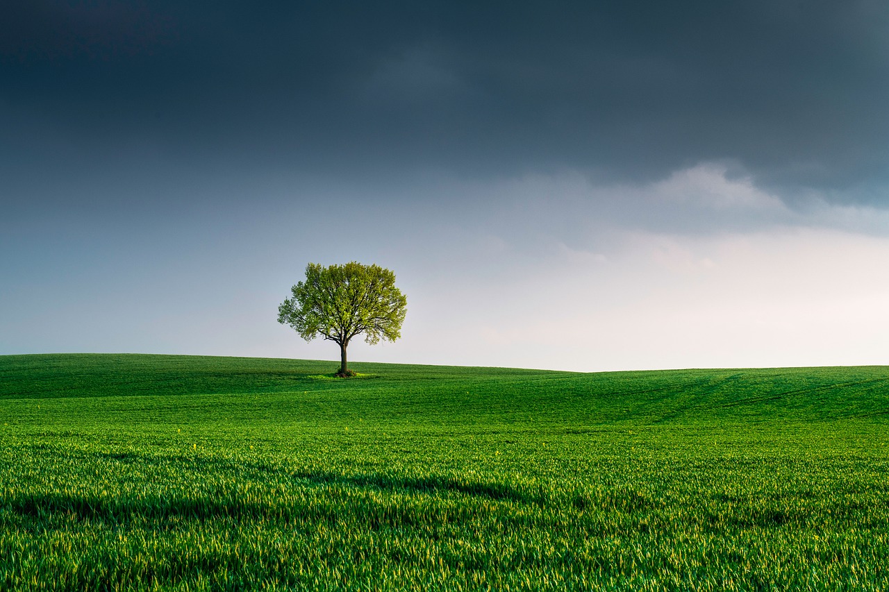 Major UK Investor Vows To Pressure CEOs On Environmental Goals