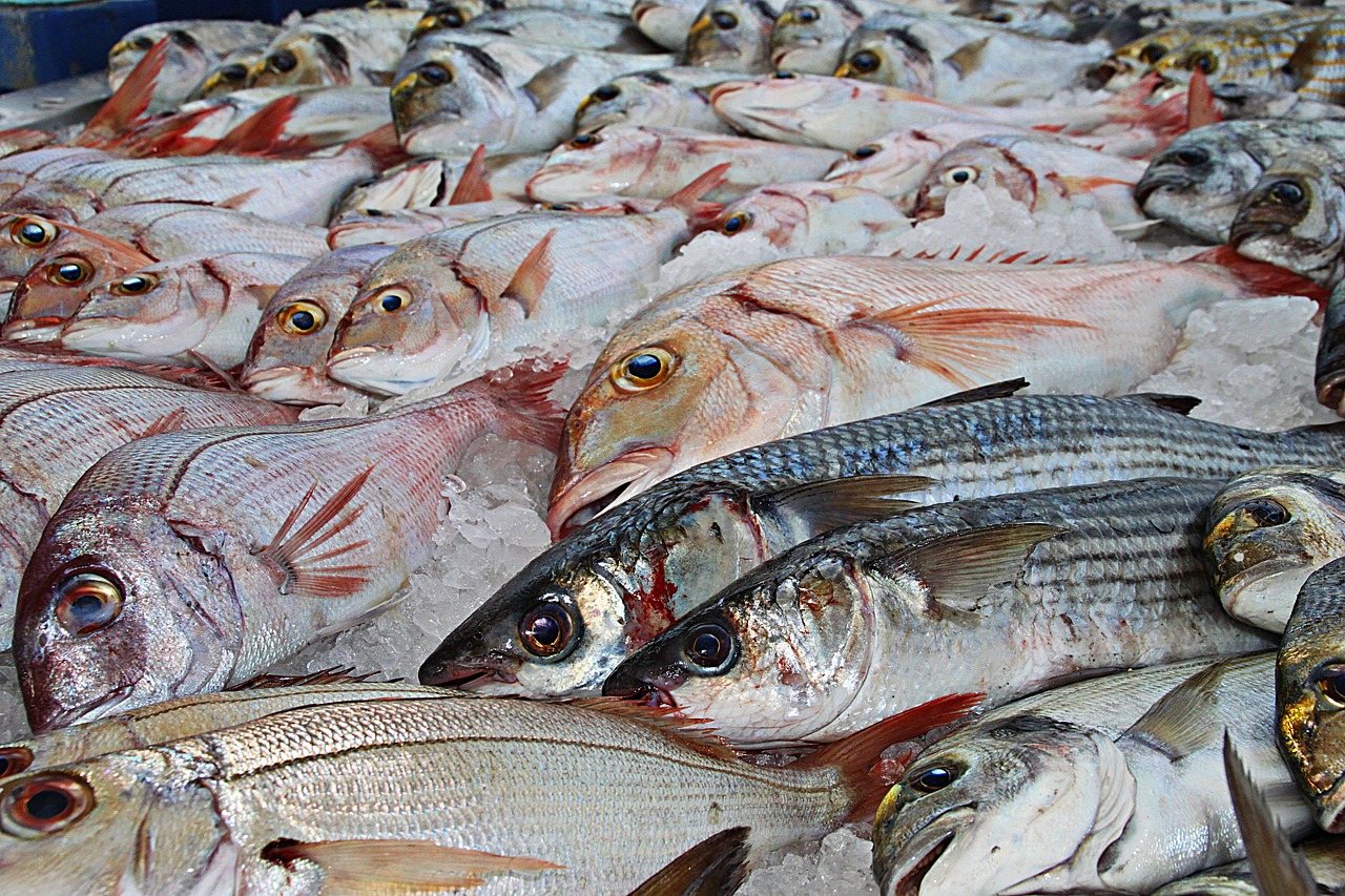 Ukraine: Conflict Puts £20m Scottish Fish Market In Jeopardy