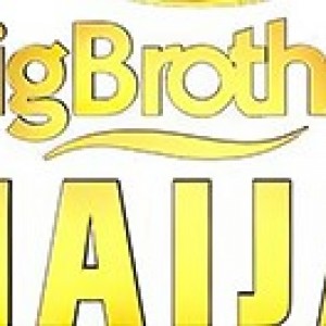 met-pc-who-went-on-nigerian-big-brother-gets-warning