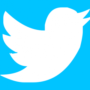 Twitter CEO Says Two Leaders To Depart, Hiring Paused Amid Musk Takeover