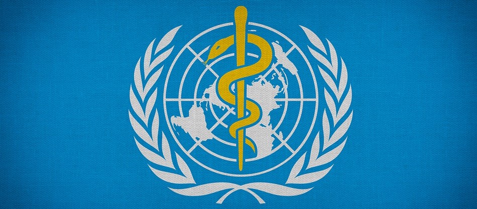 Monkeypox: 80 Cases Confirmed in 11 Countries, Says WHO