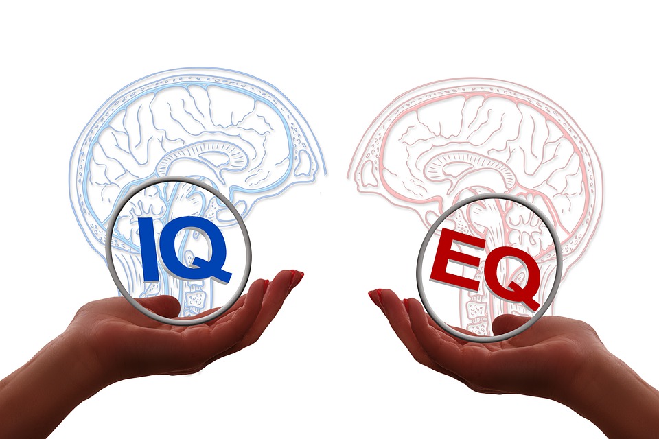 Importance of Emotional Intelligence in the Workplace