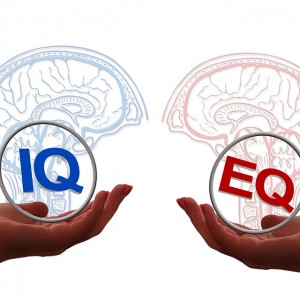 Importance of Emotional Intelligence in the Workplace