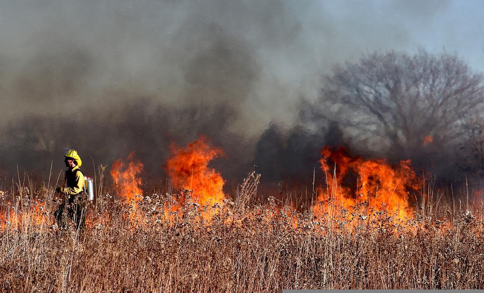Hundreds Evacuated From Homes As Wildfires Spread In France