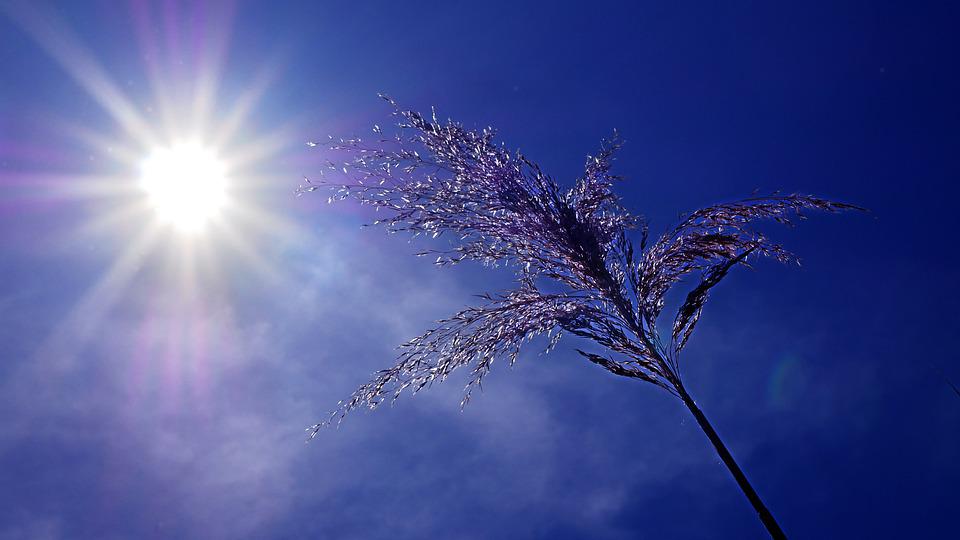 UK Heatwave: Country May Have Hottest Day On Record With 41C Forecast