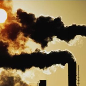 cop27-regulators-plan-closer-scrutiny-of-carbon-markets