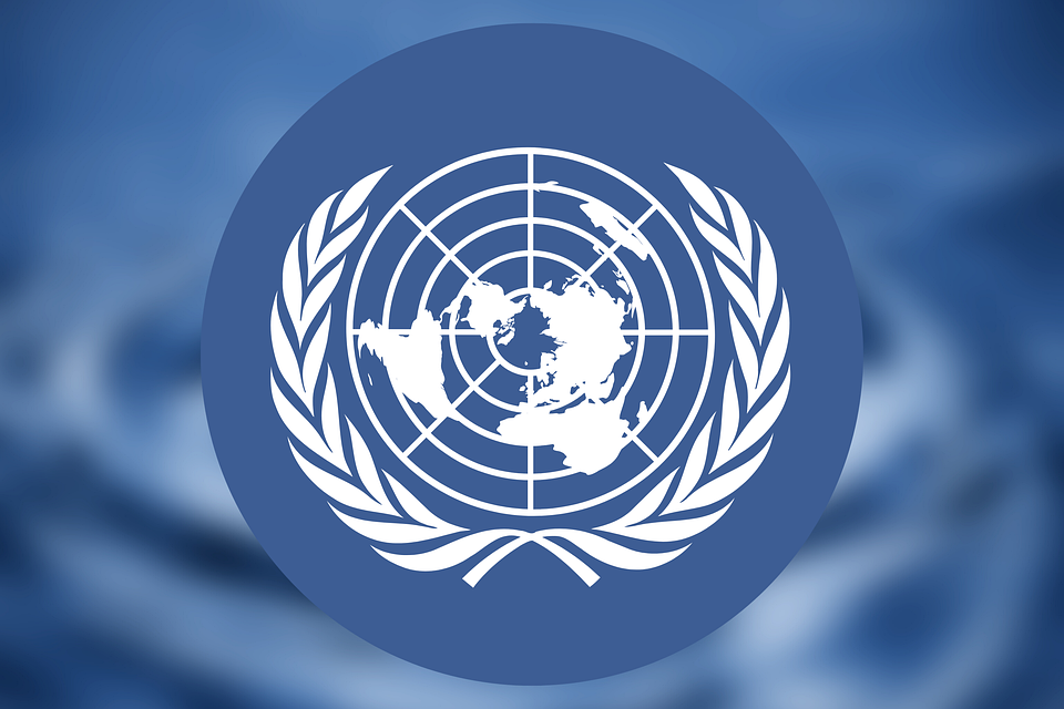 COP15: UN Calls For 'Peace Pact With Nature'