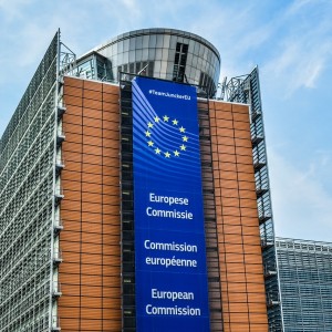 Germany Backs EU Membership Bid Of Russia’s Neighbour Georgia