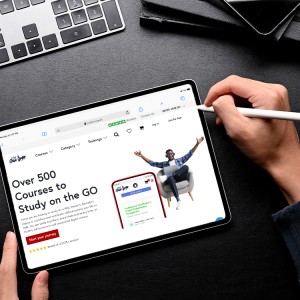 Best Online Professional Courses in Nigeria