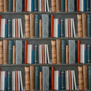exploring-excellence-msbms-top-10-most-popular-courses