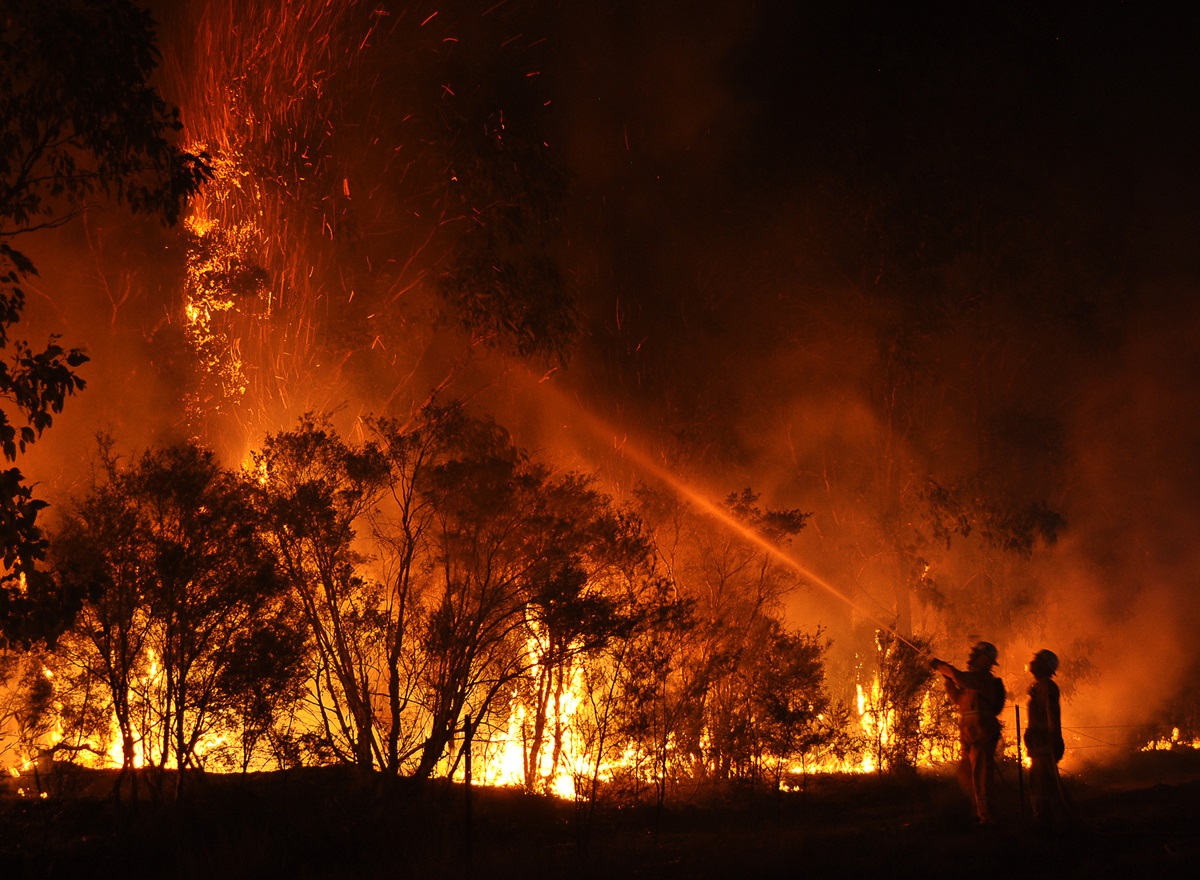 Colombia seeks international aid, declaring a wildfire disaster.