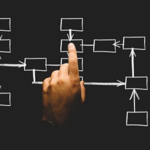 strategies-for-success-msbms-business-management-insights