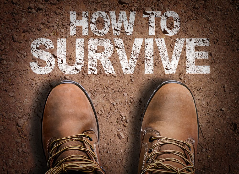 Skills 'boot camps' introduced; minister claims UK has relied on foreign workers 'for too long'