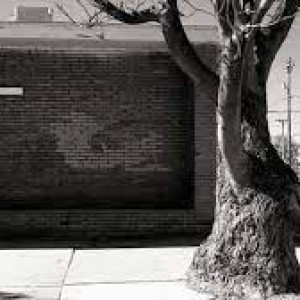 a-photographer-spent-years-memorialising-300-sites-of-fatal-police-shootings-across-america