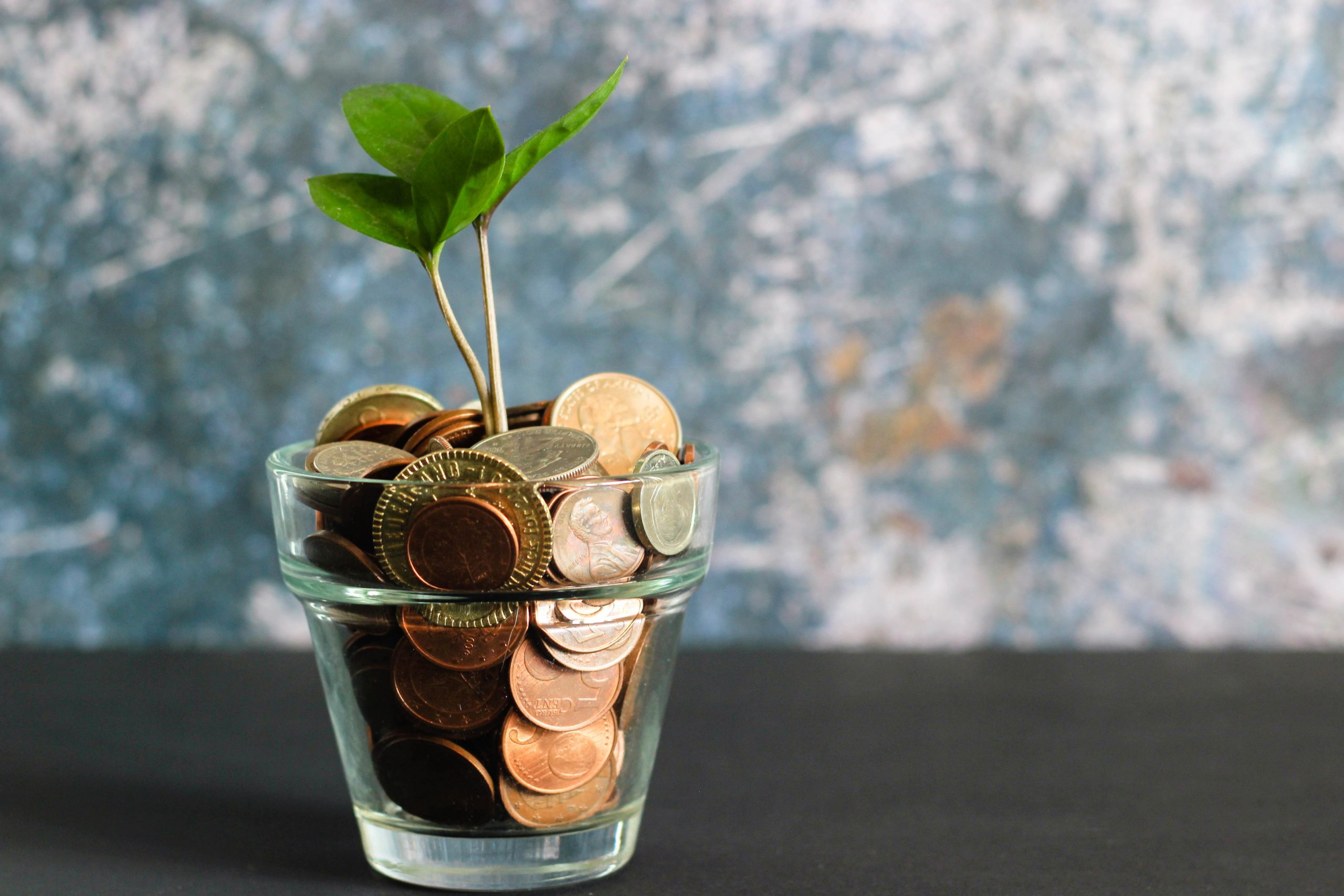 Try these NO BUY CHALLENGE Rules to Successfully Save Money