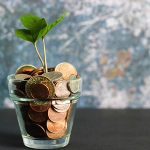 Try these NO BUY CHALLENGE Rules to Successfully Save Money