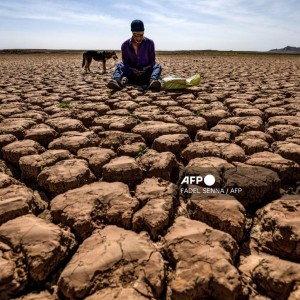 heatwave-kills-over-20-in-morocco