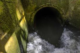 Ofwat Blocks £1.5m in Customer-funded Bonuses for Water Executives