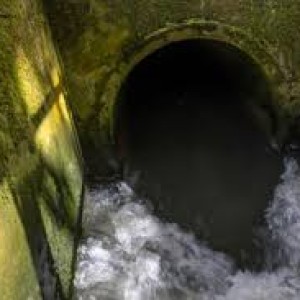 Ofwat Blocks £1.5m in Customer-funded Bonuses for Water Executives