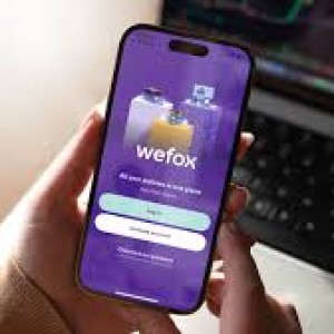 Former Insurance Unicorn Wefox in Talks about €150m Refinancing