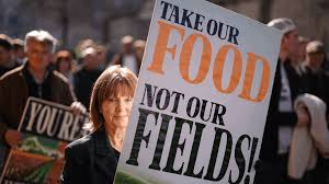 Farmers Outraged as UK Government Pauses Environmental Payment Scheme