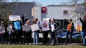 Tesla Sales Plunge 40% across Europe amid Growing Elon Musk Backlash